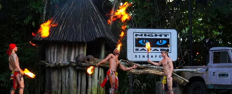 Night Safari Fireshow