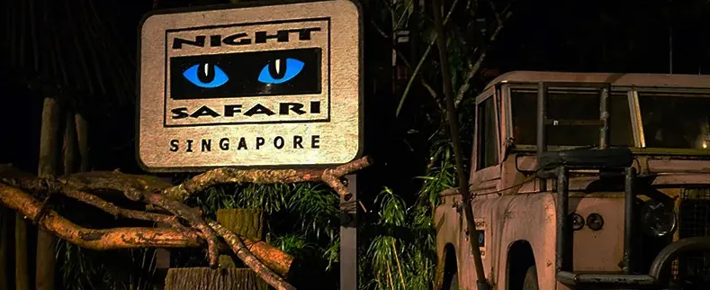 Night Safari Jeep