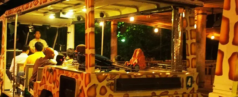 Night Safari Tram Ride