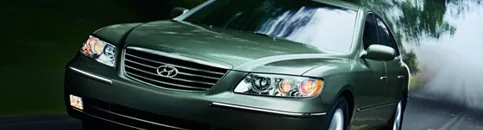 Singapore Cruise Centre - Singapore Airport Transfer - Singapore - Limousine Cab
