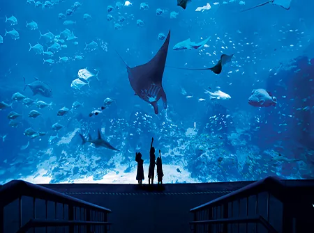 S.E.A Aquarium