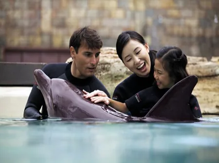 Dolphin Island